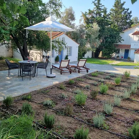 Villa Tellina Skiathos Town Exterior photo