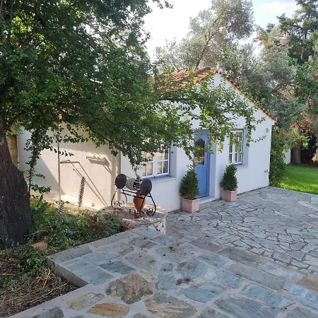 Villa Tellina Skiathos Town Exterior photo