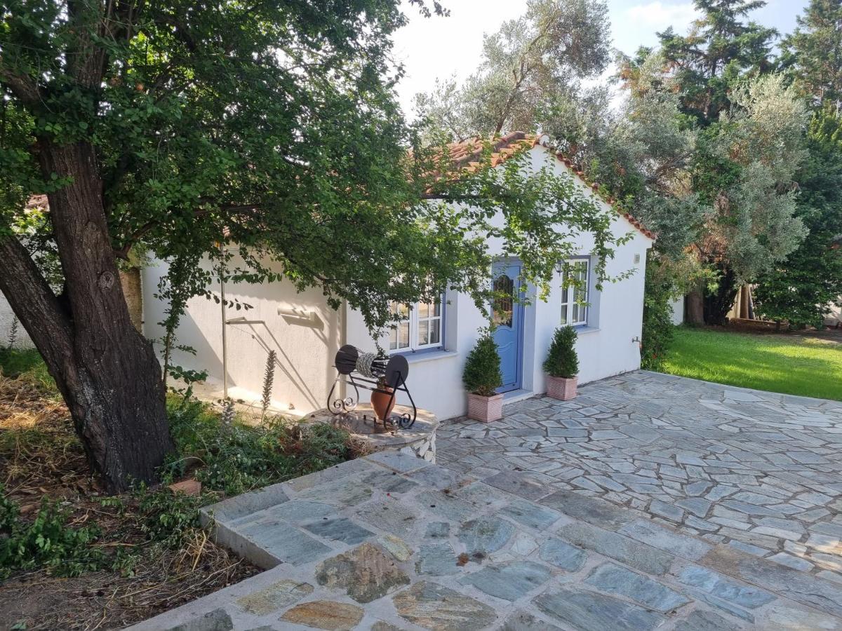 Tellina Vila Skiathos