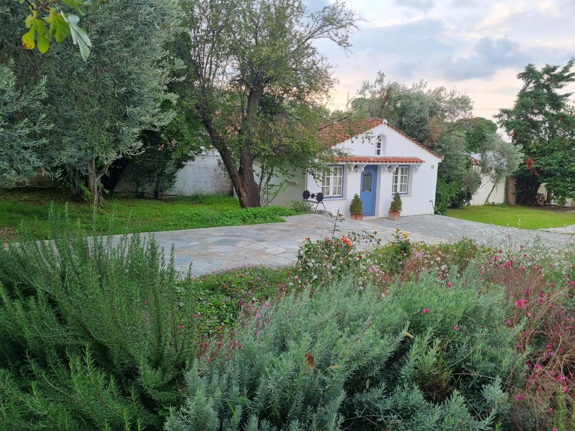 Tellina Skiathos